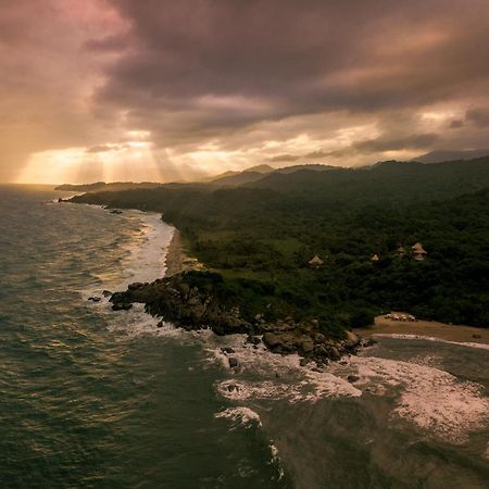 ホテル Ecohabs Tequendama - Parque Tayrona エル・ザイノ エクステリア 写真