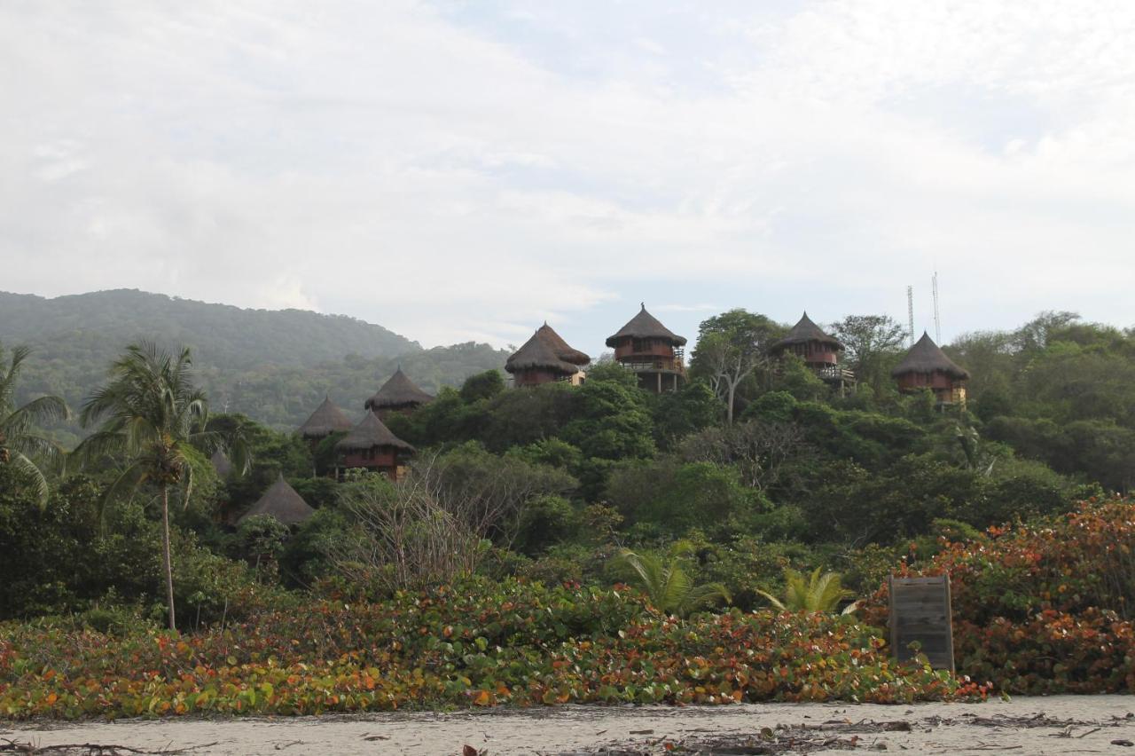ホテル Ecohabs Tequendama - Parque Tayrona エル・ザイノ エクステリア 写真