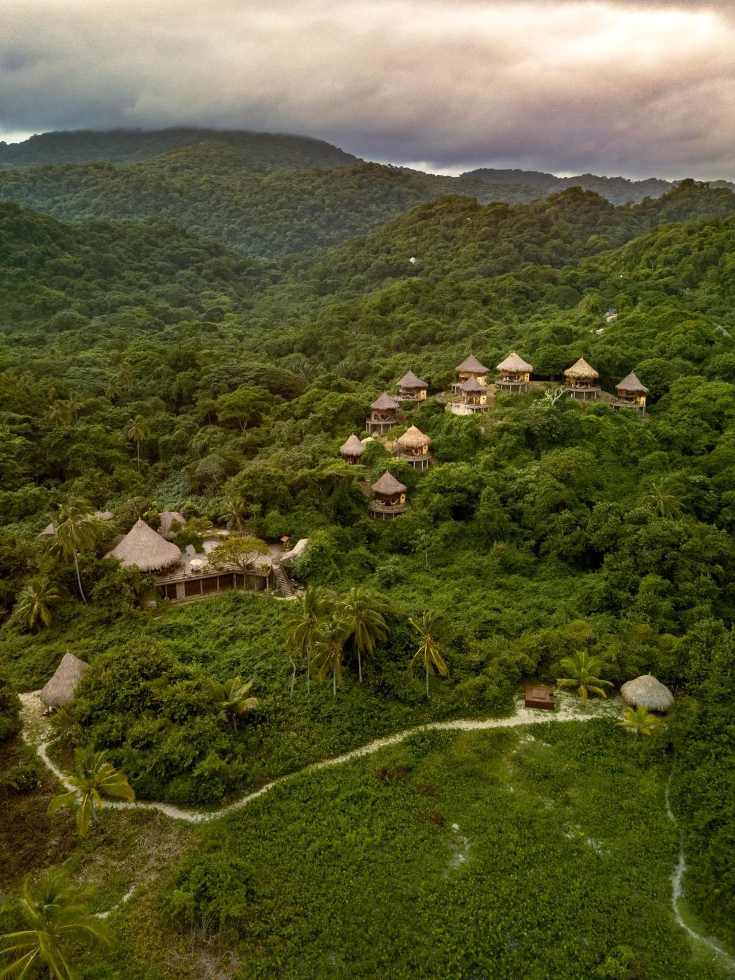 ホテル Ecohabs Tequendama - Parque Tayrona エル・ザイノ エクステリア 写真